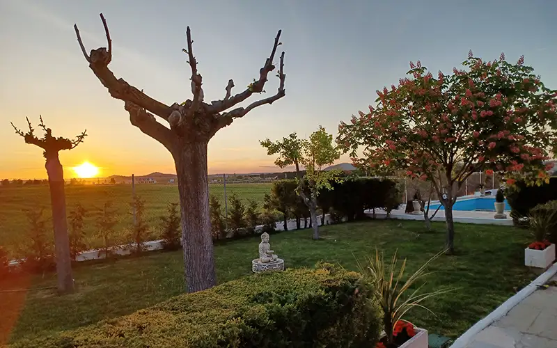 Jardin-800x500