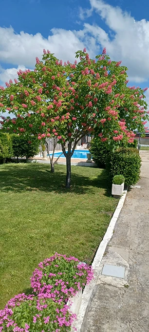la-espiga-home-vertical-1